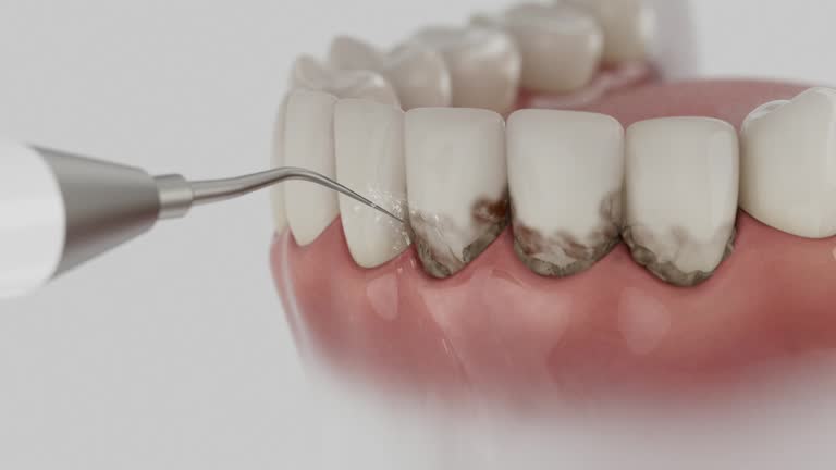 Reliable Dental contractor in Malvern, AR by Dentist Open Now